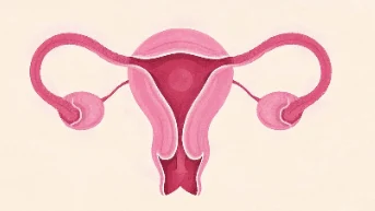 卵巢囊肿：如何分辨良性与恶性及其预防措施