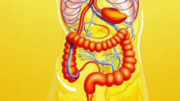 直肠癌的早期诊断与治疗科普：关注肠道健康，从早预防做起封面图