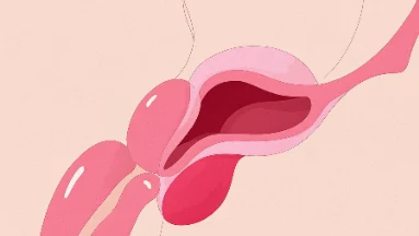 如何应对和预防前列腺癌?科学解读为您的健康保驾护航
