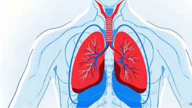 揭开肺癌的神秘面纱:你不知道的那些健康谬误