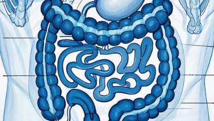 直肠癌的综合治疗:术后辅助化疗、放疗与免疫治疗的前沿探索