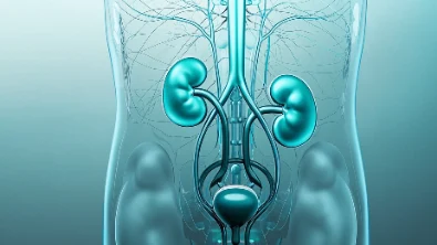 肾结石手术麻醉管理：老年患者指南