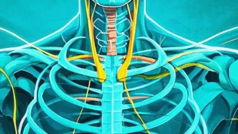 锁骨骨折：病因机制、诊疗方法及康复管理全解析