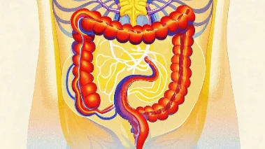 结直肠癌的早期发现与全面管理