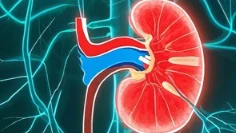肾结石别忽视！如何预防与治疗这些“结石麻烦”？