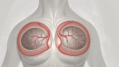 科普，乳腺癌手术麻醉选择指南：<span style="color: #da4707">术前</span>术后你需知道的<span style="color: #da4707">关键</span><span style="color: #da4707">点</span>
