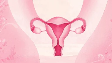 卵巢囊肿的全面解析：定义、症状、诊断与治疗