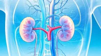 如何科学面对慢性病:肾衰竭、痛风和高血压的健康守则