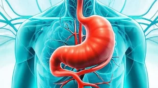 胃炎、胃痞病和颈动脉斑块:看懂体检报告,让健康早知道!