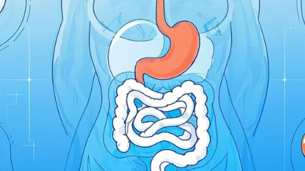 儿童消化系统健康与急性呼吸道感染的管理与处理