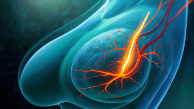 科普，乳腺癌——别怕，有<span style="color: #da4707">科学方法</span>帮你走出迷雾！