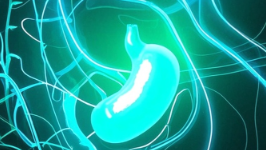 谨防胆囊结石和急性胆囊炎！健康生活从了解开始封面图