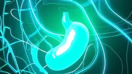 谨防胆囊结石和急性胆囊炎！健康生活从了解开始