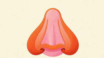 科普，鼻咽癌最佳治疗方案：<span style="color: #da4707">紫杉醇</span>与免疫治疗全解析