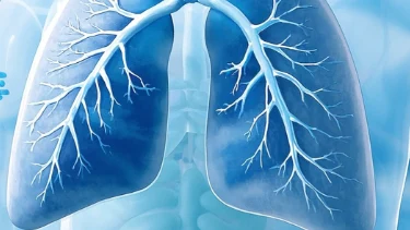 慢性支气管炎与冠心病的综合管理:科学诊断与精准治疗