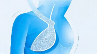 了解her-2阳性乳腺癌及其防治措施