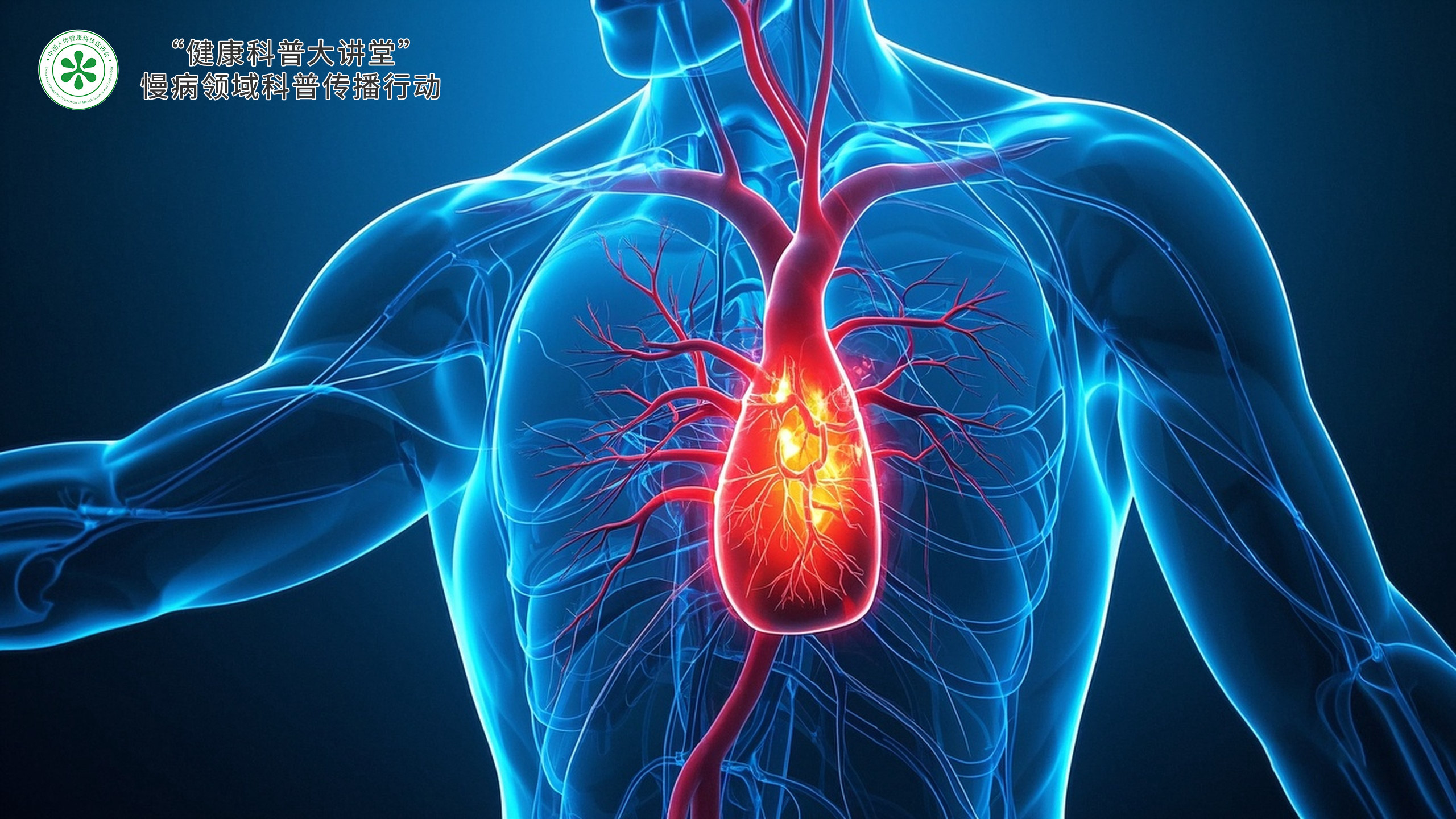 科普，代谢性<span style="color: #da4707">慢</span><span style="color: #da4707">病</span>管理与预防指南