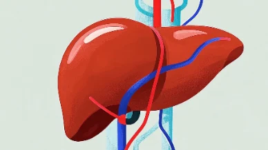 肝占位性病变手术麻醉管理指南:全面解析与应对策略