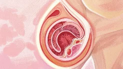 你懂乳腺癌吗?了解它对你至关重要!