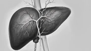 甲胎蛋白与转氨酶升高怎么办?看这里!