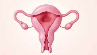 子宫脱垂的信号与治疗！女性必看指南