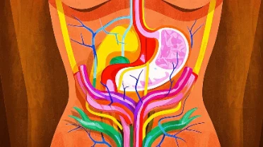 全面了解贲门癌：类型、诊断、分期及科学管理
