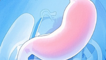 科普，胃癌的<span style="color: #da4707">奥秘</span>——如何防治这种“常见杀手”？