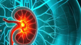 科普，肾肿瘤全解：认识、识别与预防你的肾脏健康封面图